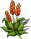 flower-5.png