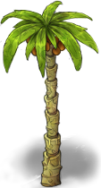 palm-tree-1.png
