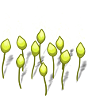 wheat-plant-sprout.png